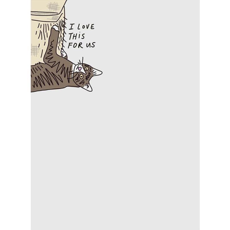 Cat Scratch Notepad