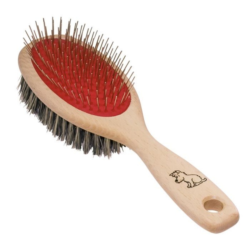 Dog Brush