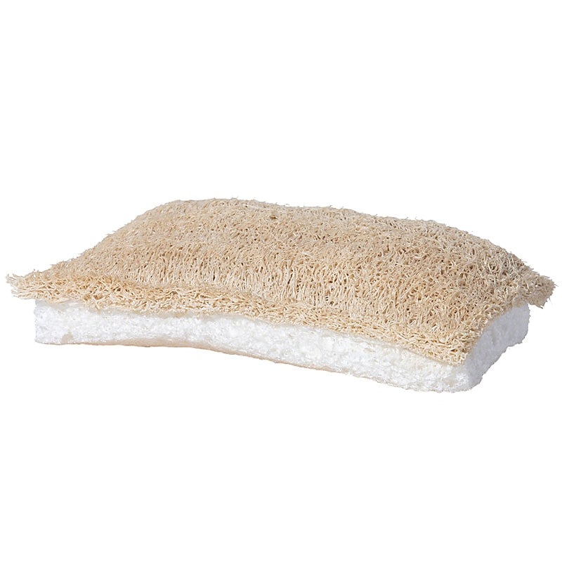 Sponge