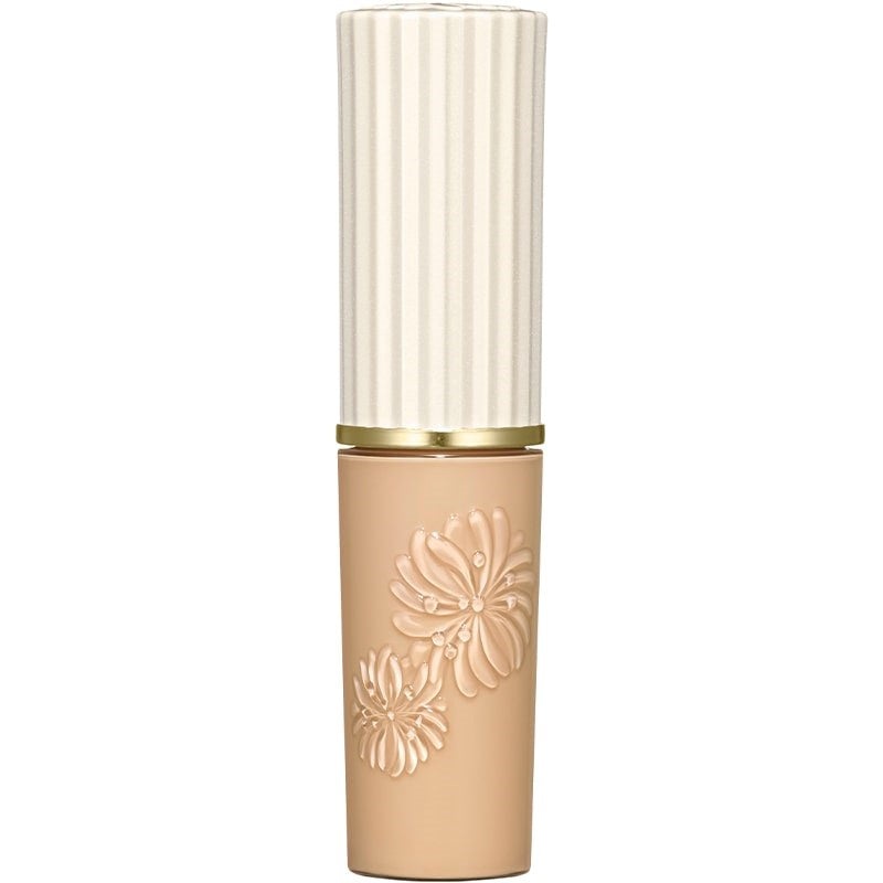 Concealer (01)
