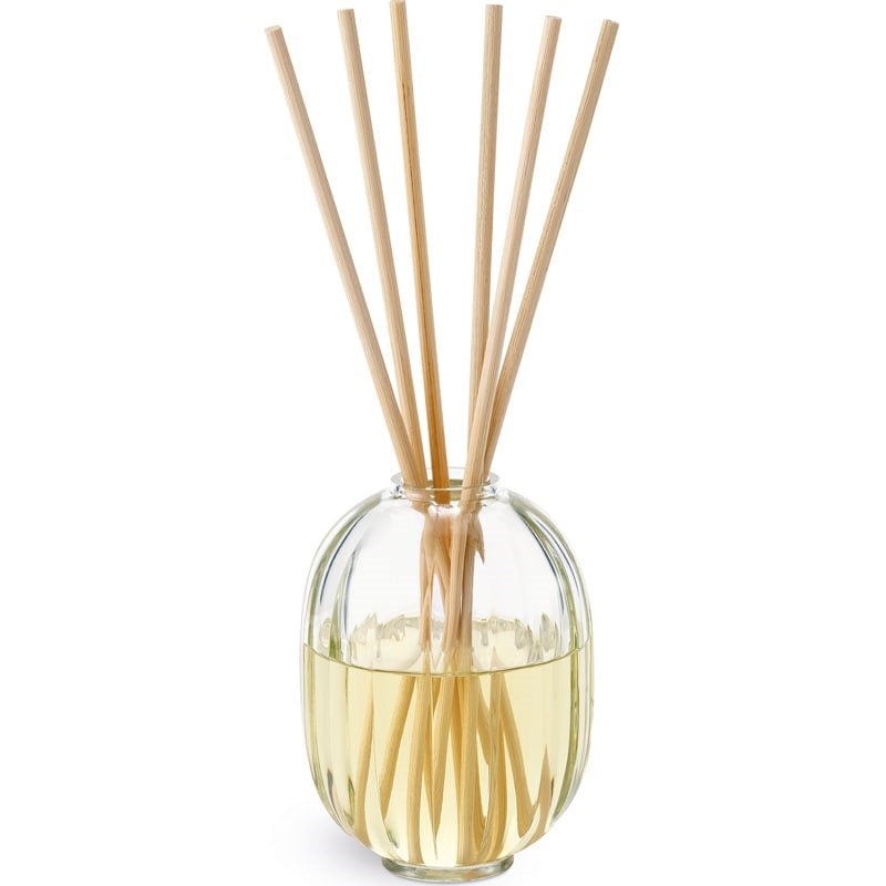 34 Boulevard Saint Germain Reed Diffuser