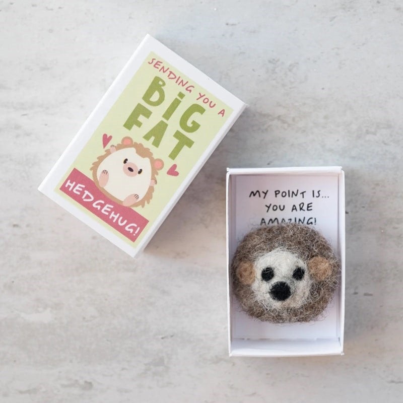 Sending You A Hedgehug In A Matchbox